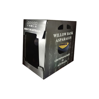 식료품 포장 상자 폴리프로필렌 노러브 플라스틱으로 만들어 질 수분 분쇄 및 해충에 대한 뛰어난 저항력을 제공합니다