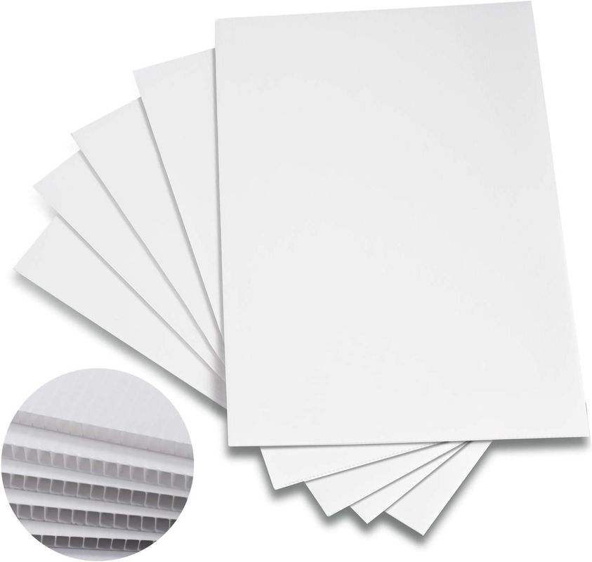 Advertising Polypropylene Coroplast Sheet Recycled Rigid Fluted Board