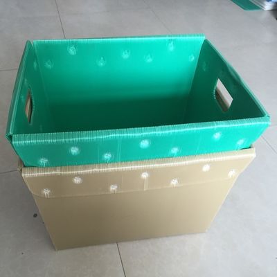박스 물고기 PP 물결모양이 Bin을 싸는 4.5 밀리미터 5.5 밀리미터 파형 플라스틱