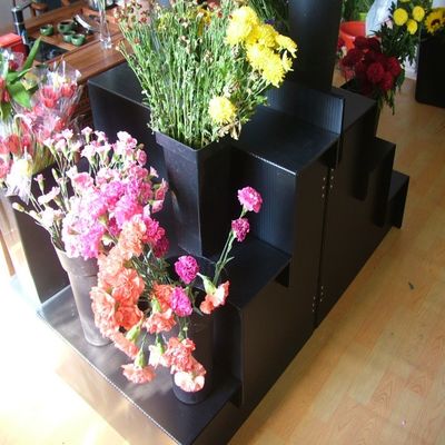 집 정원을 위한 5 밀리미터 코르프루테 싱싱한 꽃 표시대를 검게하세요