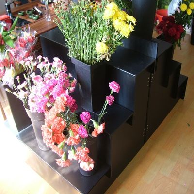 집 정원을 위한 5 밀리미터 코르프루테 싱싱한 꽃 표시대를 검게하세요