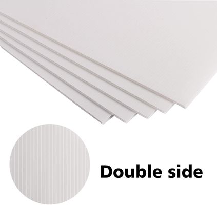 포장 및 광고에서 PP 코로플라스트 시트의 잠재력을 발휘하십시오